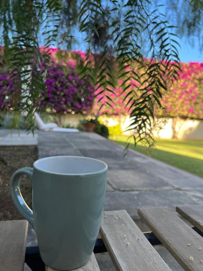 Apartamento Dream Garden Santa Cruz de Tenerife Exterior foto